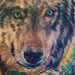 Tattoos - WOLF STARE !! - 21566